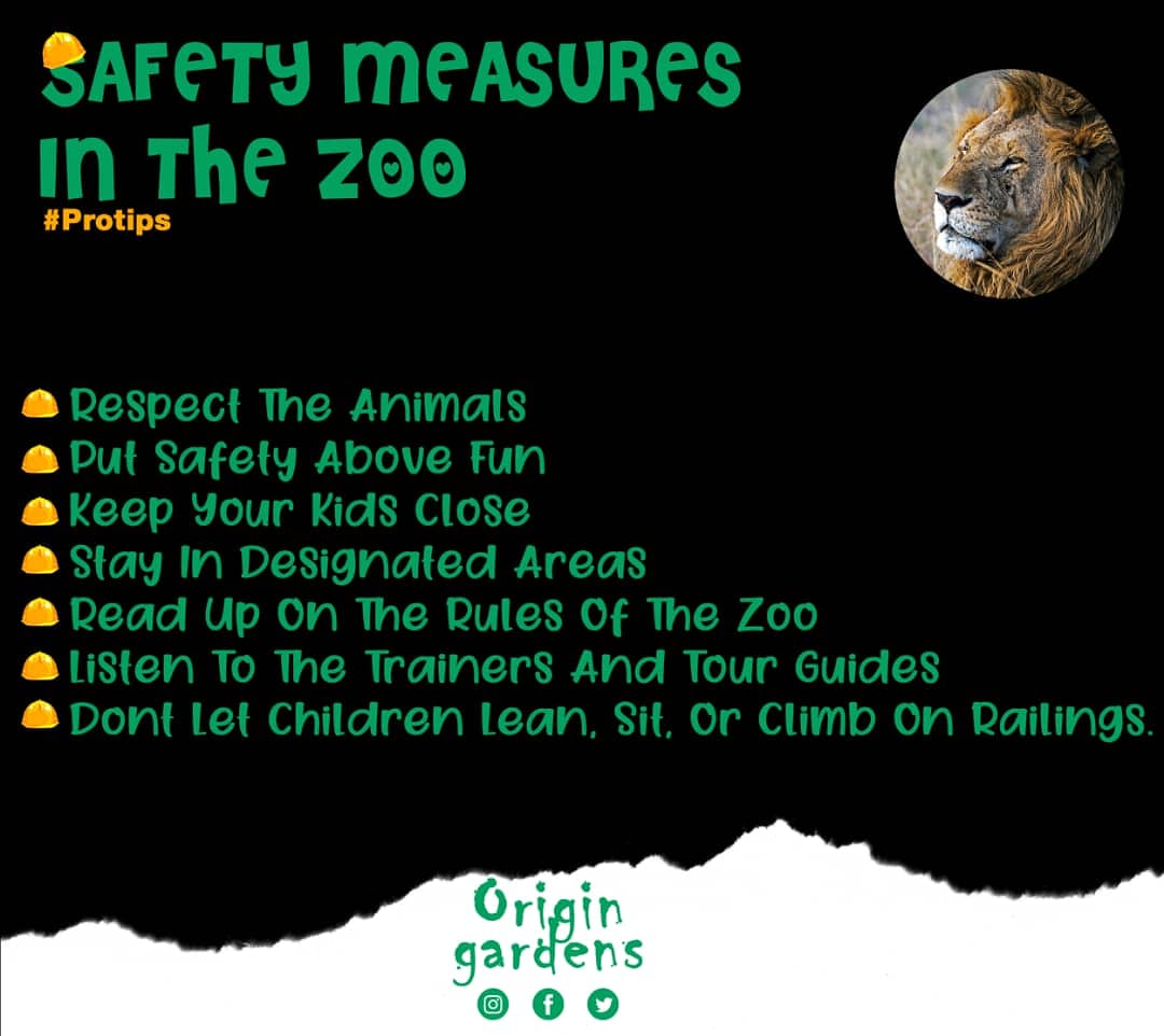 origin_gardens's tweet photo. We know how fun the Zoo can turn out to be, but it is also important to stay safe at all cost...
Here are some Safety Measures ⚠️🤗
#knowyourorigin #wildlife #africa #zoo https://t.co/Kt5WkCj8re