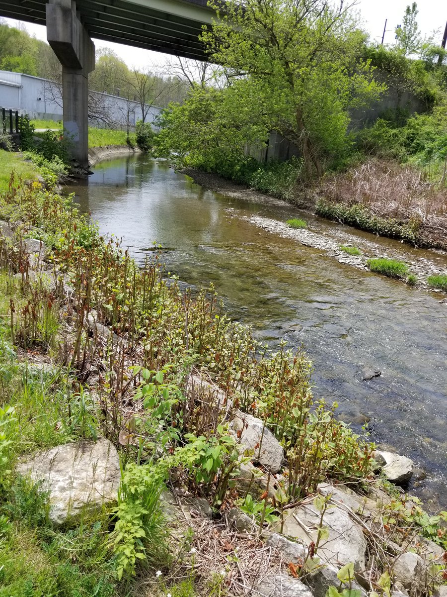 wlabovitz's tweet photo. Glorious day for an 8-mile run (me) and a 12-mile bike ride (Helaine) on the Montour Trail, followed by lunch at Panera eaten outside. Not thrilled with my slow avg pace of 12:15/mile, but happy that I ran my longest distance ever. #SoakingUpTheSun #StayingSane #ExerciseDate https://t.co/2fZlbdil4a