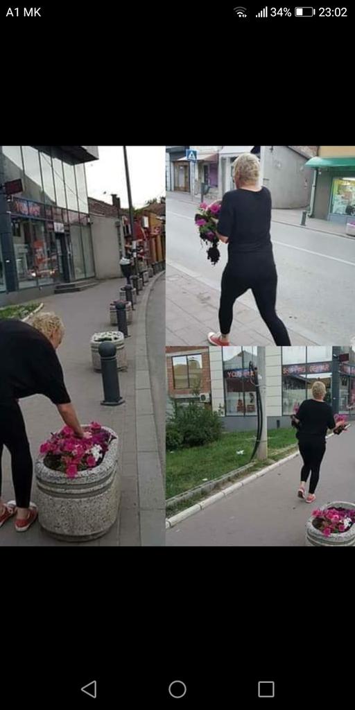 Вака се краде цвеќе... А да ја направиме популарна