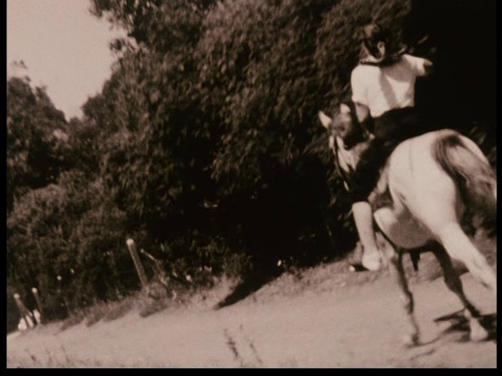 10 years ago Brecht Andersch & I tried tracking down every possible location used by poet/filmmaker Christopher Maclaine in his 1953 masterpiece The End. We strongly suspect these shots of a rider (& maybe a sprinkler too?) were shot in Golden Gate Park.  https://openspace.sfmoma.org/2011/03/christopher-maclaine-17-the-end-tour-15-climax-b/