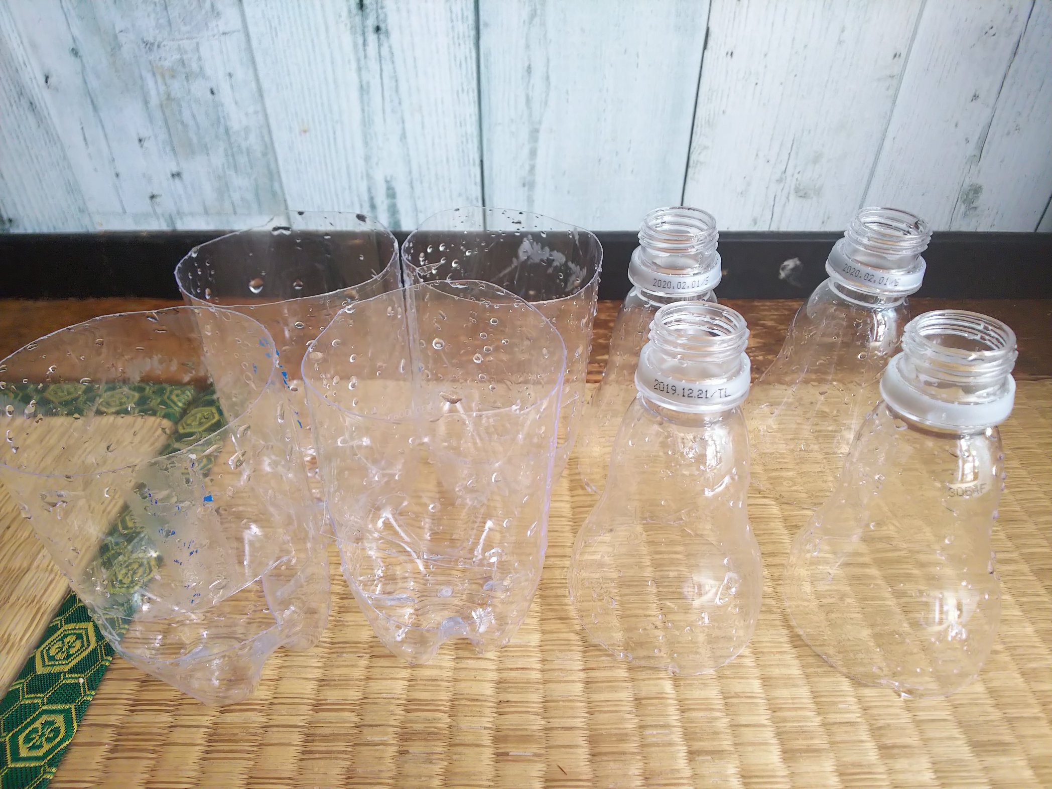 信州発 家庭菜園 Q S Natural Garden ペットボトルで害虫対策 不織布外して 今日からコレ ちょっとした実験 つるなしインゲン 初みどり2号 インゲン インゲン豆 家庭菜園 長野 清水種苗 害虫対策 ネキリムシ対策 ペットボトル