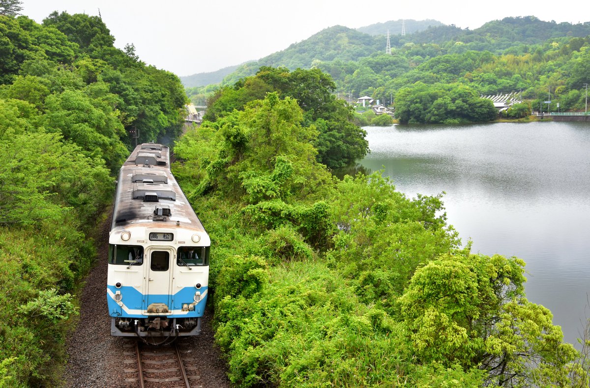 どーらく على تويتر 今朝の高徳線314d 曇天でがっかりだったが 新緑の瑞々しさを表現するには強い影が出ないこのくらいの天気がよかったのかも