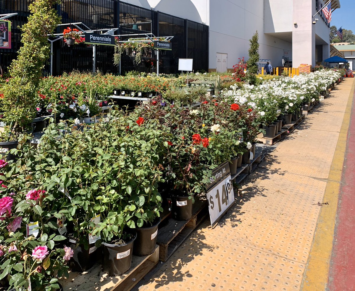 Alex Pula (@alexpula) on Twitter photo #LagunaHills6628 is Ready for Weekend! @downeypackerfan <a href="/Steven_Mousseau/">Steven Mousseau</a> <a href="/asm_specialty/">Specialty ASM servant leader Jose Salcedo</a> <a href="/DiannaStore6628/">Dianna</a> <a href="/GenevayJay/">Jay Genevay</a> <a href="/Kmwatts26/">Katie Watts</a> #LagunaHills6628 is Ready for Weekend! @downeypackerfan <a href="/Steven_Mousseau/">Steven Mousseau</a> <a href="/asm_specialty/">Specialty ASM servant leader Jose Salcedo</a> <a href="/DiannaStore6628/">Dianna</a> <a href="/GenevayJay/">Jay Genevay</a> <a href="/Kmwatts26/">Katie Watts</a>