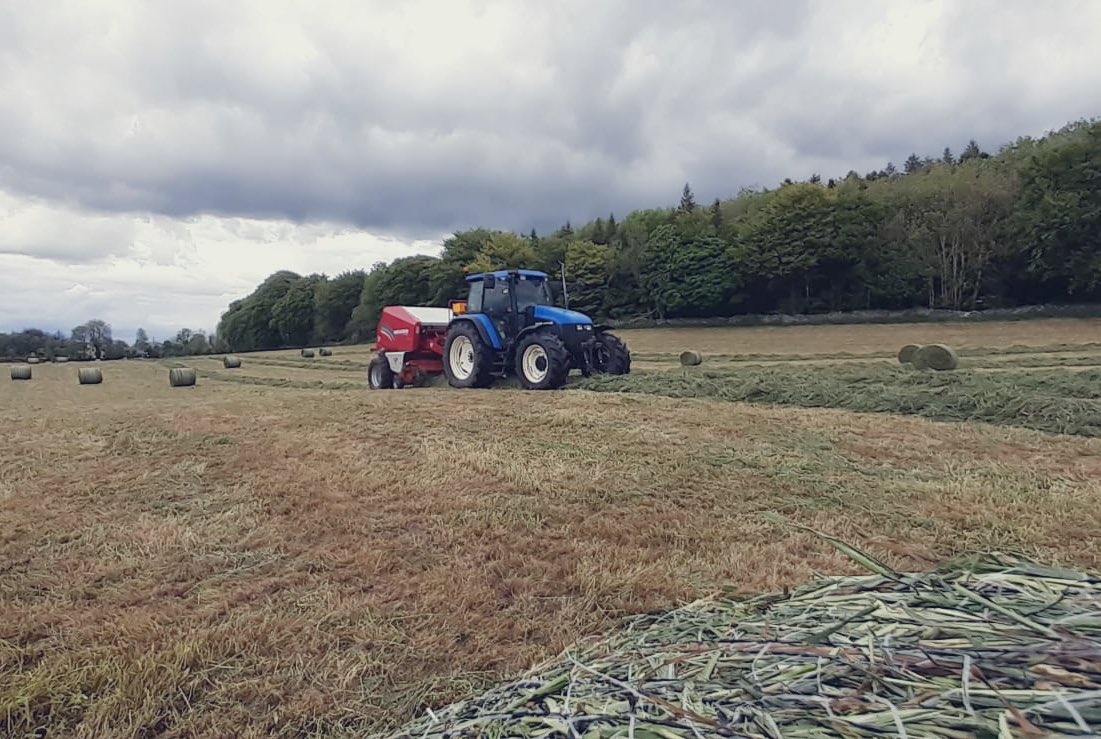 ETonra's tweet photo. Nice to get a start at silage this week , serious crops with Agrtech sugar boost added to increase quality @GlanbiaConnect @AgritechIreland #greatsilage #silage2020 https://t.co/4Hux2aRSvM