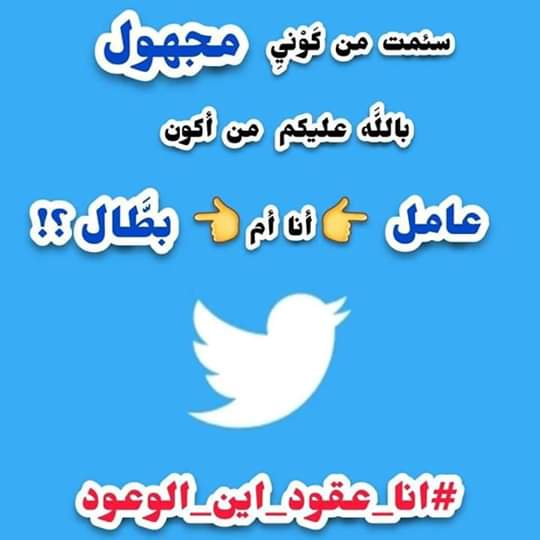 HadjerSem's tweet photo. أنا هنا .. لأجل لقمة عيش كريمة و طيبة 
أنا هنا .. طالباً كرامة طال إنتظارها
أنا هنا .. مثال حي لمعانات طبقةٍ بأكملها

#انا_عقود_اين_الوعود 
#عقود_ماقبل_التشغيل https://t.co/LPMncE4Emq