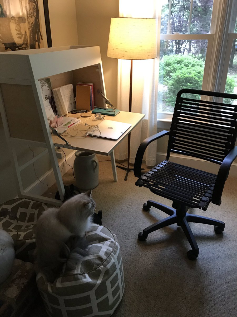 wabi_sabi's tweet photo. Had to get a healthier #homeoffice chair for the sake of my back, and got this one today at RVAโs own #LaDiff. Shopping is by appointment these days and is a great and safe experience. #BuyLocal #LocalEverything #SupportSmallBusiness https://t.co/vcF8PQoYXy