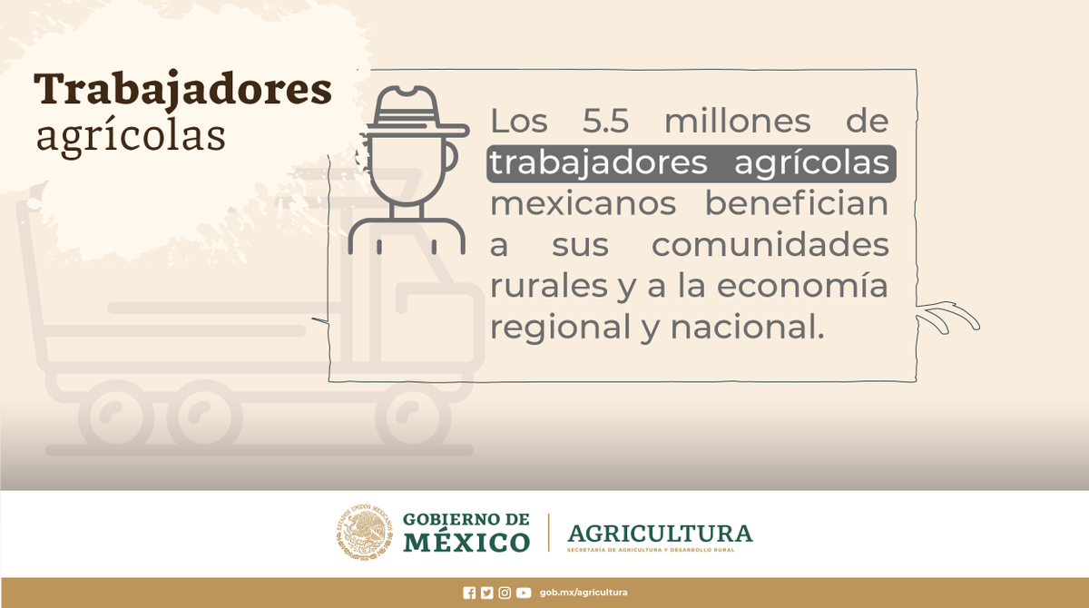 Agricultura_mex's tweet photo. Gracias al esfuerzo de las trabajadoras y trabajadores del campo, México se coloca como el 11° productor mundial de cultivos agrícolas.

https://t.co/sJJ2KA4AfH
#AgriculturaMexicana #QuédateEnCasa https://t.co/oBTg2D5JlO