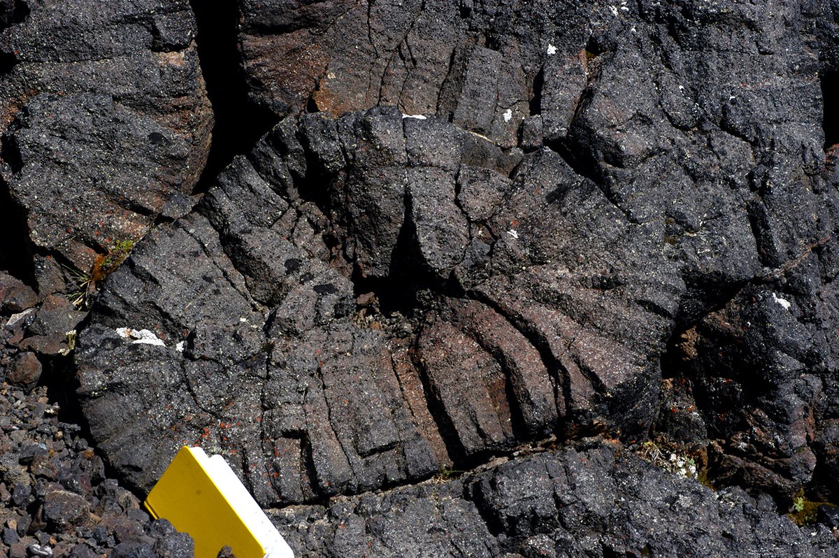 lava_ice's tweet photo. #pillowlava came across this pretty clear pic of a pillow lava in section; you can see micro joints at edge and glassy rim, also vesicle banding and central gas cavity; located at +2000 m asl = glaciovolcanic eruption
#randomfieldworkphoto https://t.co/cHpdfj95OK