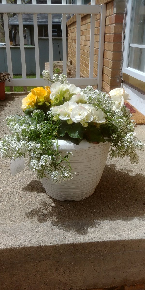 Thank you <a href="/tajuana_b2736/">Tajuana Buckley</a> for the flowers!  My wife loved them!