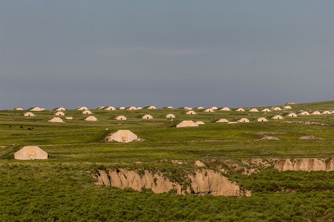 Ver imagen en Twitter