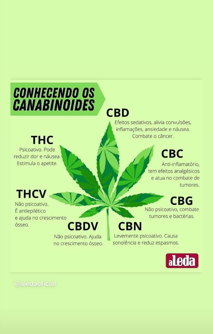 CanabbisM's tweet photo. https://t.co/x6RBSkn7My