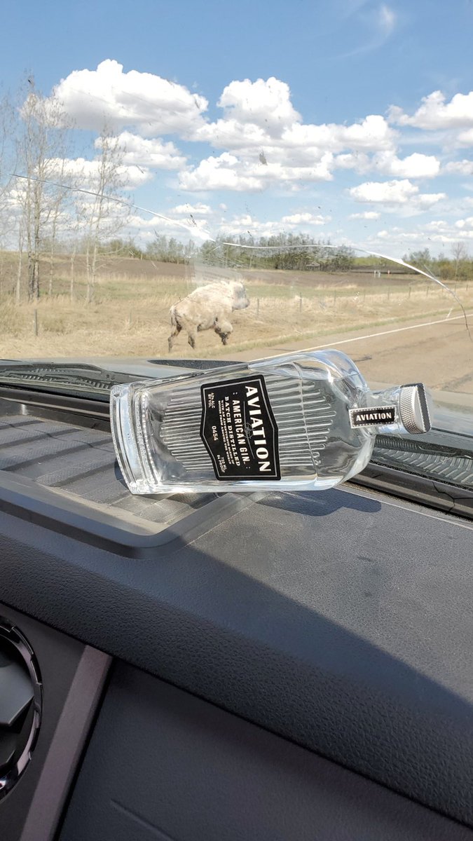 ⁦<a href="/VancityReynolds/">Ryan Reynolds</a>⁩ ⁦<a href="/AviationGin/">Aviation American Gin ✈️🍸</a>⁩            Not sure if you’ve ever had a drink of gin in Alberta with a white bison on May long? 🤔