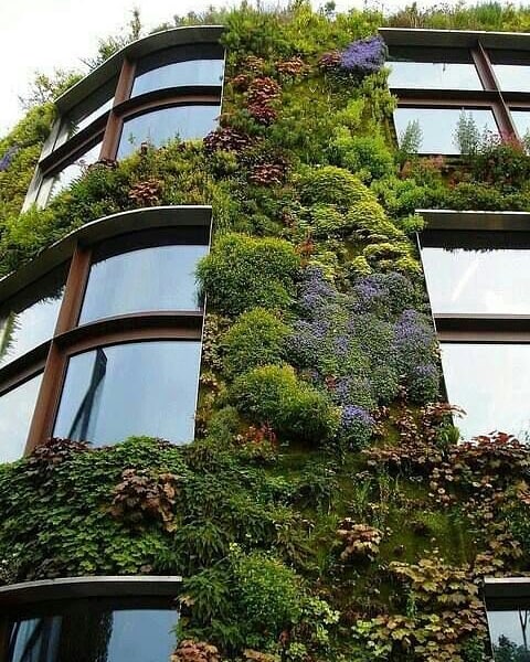 ReforestemosOk's tweet photo. Amo este tipo de adaptación a las construcciones. Exteriores vivos 💚
¿Vieron alguno en vivo?
✔ 🌳Planta un árbol
.
#ecorevolucion #ReforestemosElMundo #naturaleza #arquitectura #revolucion #evolucion #acciones #plantas #SiguemeYTeSigo
Link de imágen en https://t.co/bmtJg4RgVq https://t.co/RHoEMAzkVl