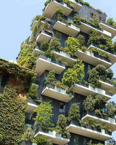 ReforestemosOk's tweet photo. Amo este tipo de adaptación a las construcciones. Exteriores vivos 💚
¿Vieron alguno en vivo?
✔ 🌳Planta un árbol
.
#ecorevolucion #ReforestemosElMundo #naturaleza #arquitectura #revolucion #evolucion #acciones #plantas #SiguemeYTeSigo
Link de imágen en https://t.co/bmtJg4RgVq https://t.co/RHoEMAzkVl
