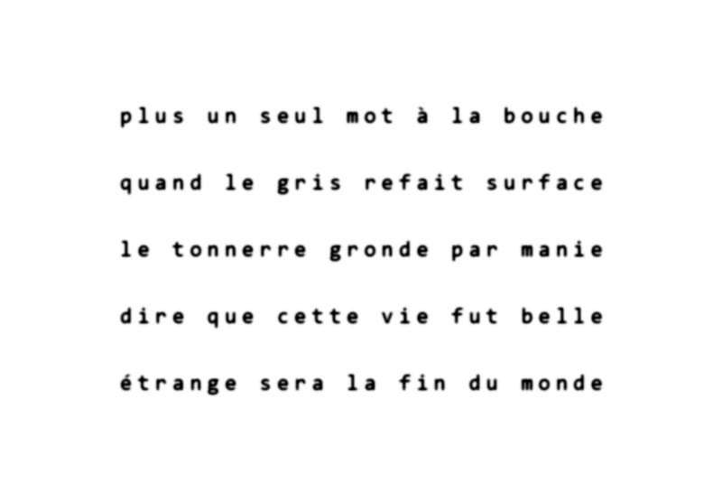 Mister K tweet media