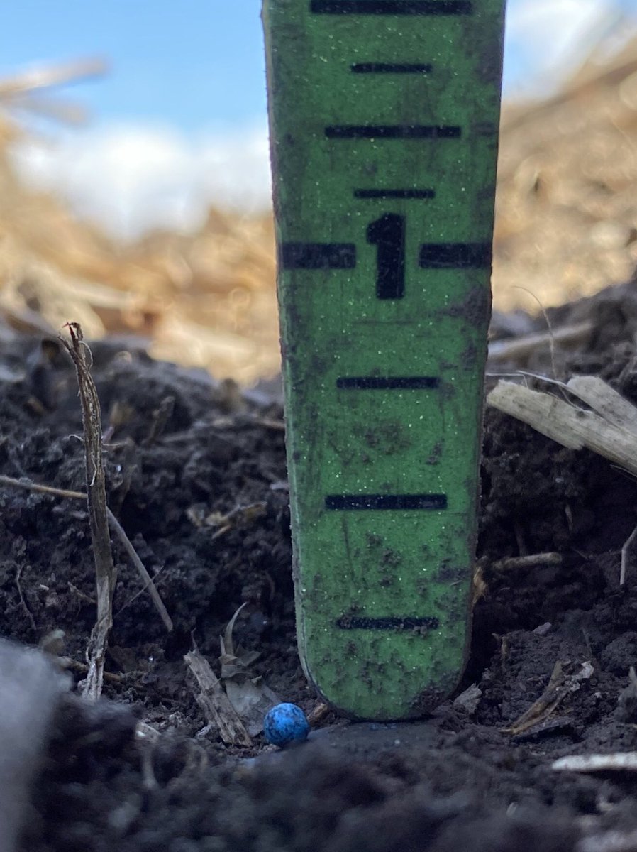 beedesmet's tweet photo. It’s the little things that make me happy... little blue things at a perfect depth ☺️ #plant20 #thebrokenrecord #checkyourdepth #checkyourdepth #thankyou https://t.co/gVOPOjBYAH