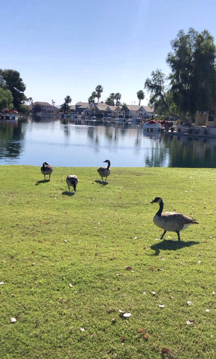 Marce_AZ's tweet photo. 10 miles this morning ✅ The weather is nice at 6am, but then I’m sleepy the rest of the day. 😅 #NAFlagvisor #RunderfulRunners #ClubSLR #StartlineRacing #RunAZ https://t.co/tuGCNmLuf0