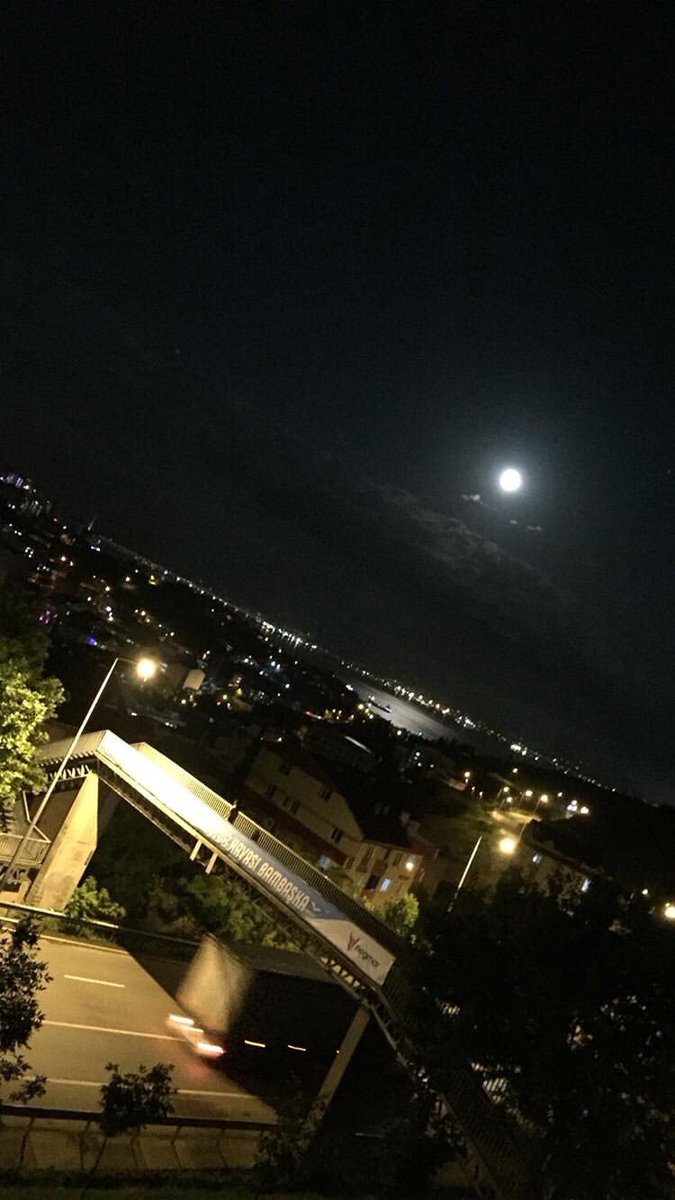 yunusempee's tweet photo. şu muu https://t.co/lQgEf644ot