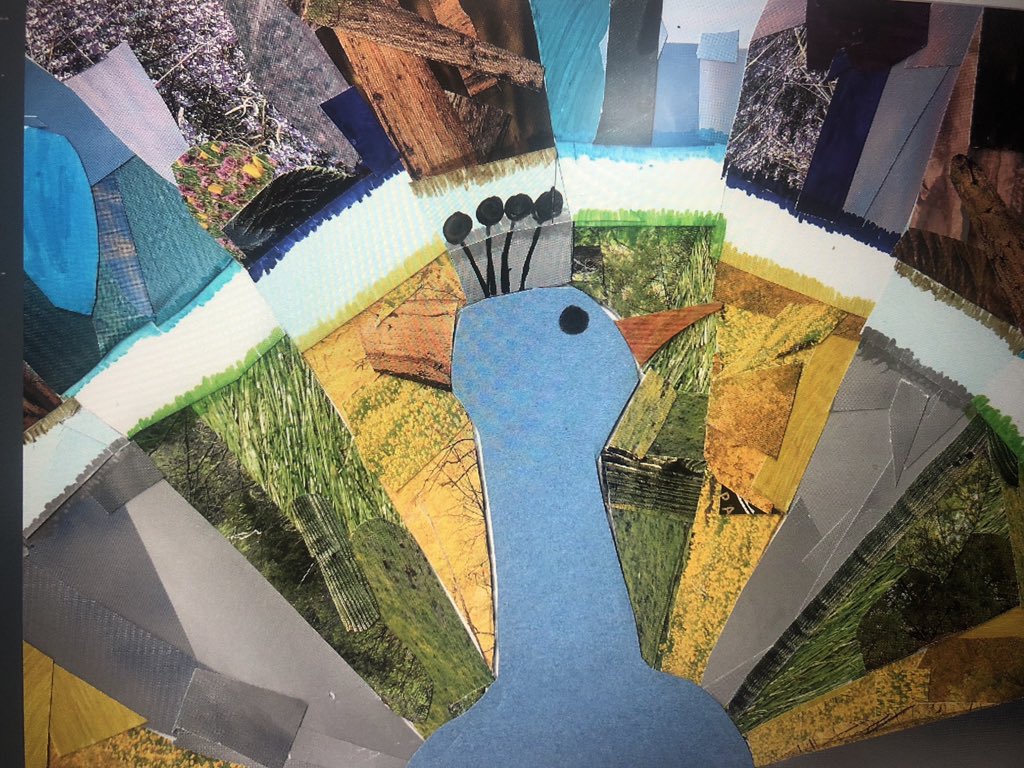 PelicansCreate's tweet photo. Ok a few more... 🤩 https://t.co/1M2EmVPVym