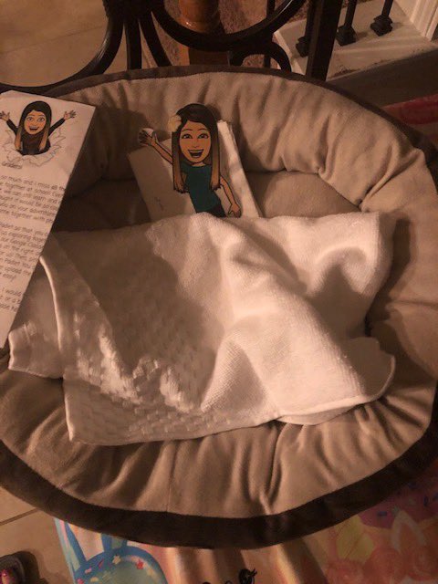 Flat Teacher Adventure <a href="/HumbleISD_SWE/">Summerwood Elementary</a>