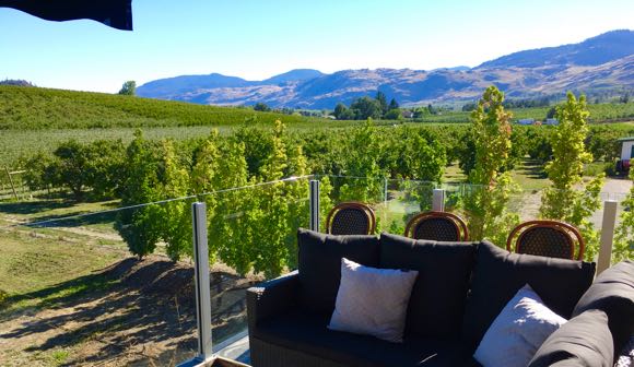 hiredBelly's tweet photo. A look at under the radar @vinAmiteCellars … tasting room open this w/e with proper protocols in place. #bcwine https://t.co/klEHmFq280 https://t.co/YSgN7oSBsm