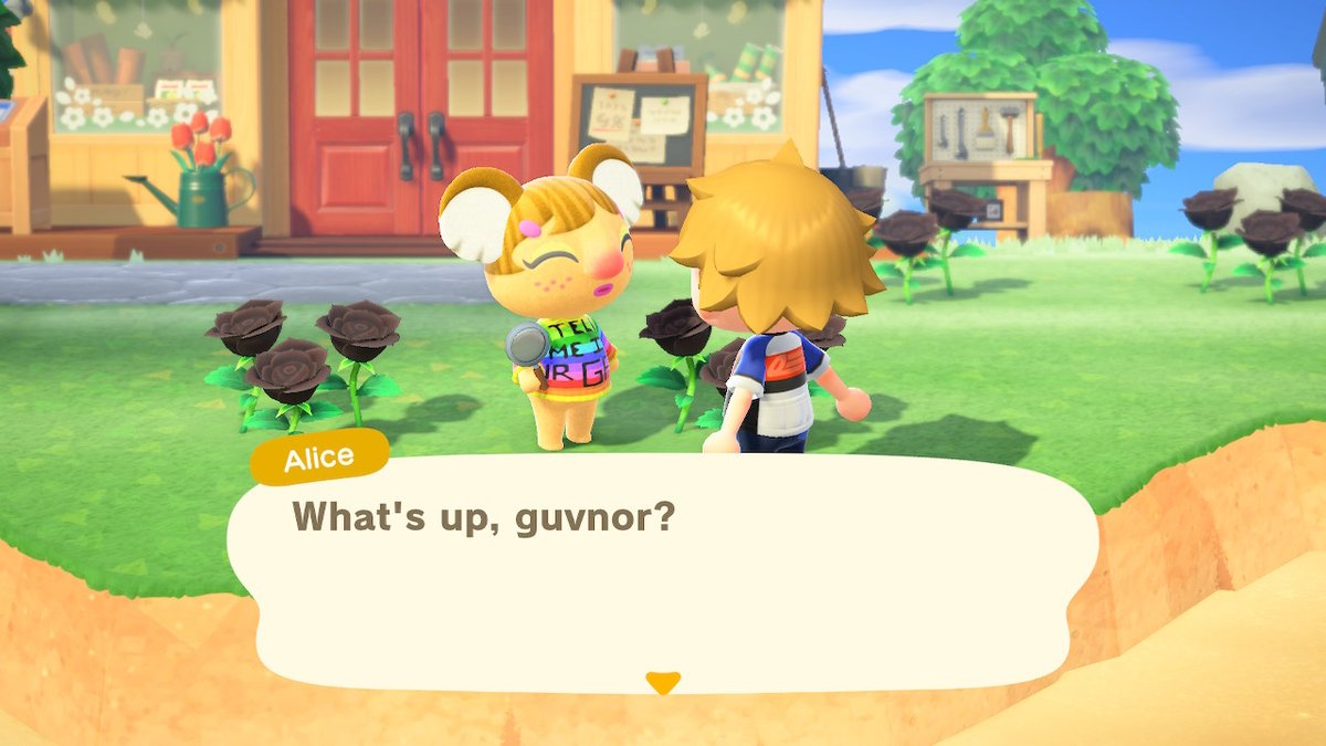 SwitchDropCP's tweet photo. #AnimalCrossing #ACNH #NintendoSwitch https://t.co/OacdNNrTdh