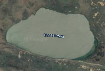 This is the best pond in the world
