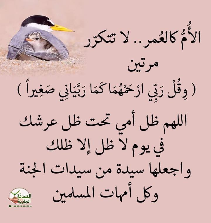 Alhussain Dabaiba (@aad1908) on Twitter photo 