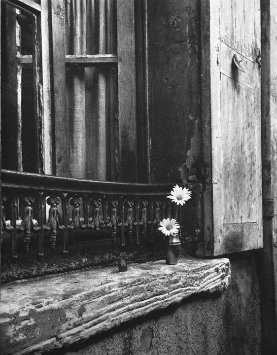 Amarcord__'s tweet photo. “La normalità è una strada lastricata. 
E’ comoda per camminare, ma non vi cresce nessun fiore.” 
Vincent Van Gogh
©Izis Bidermanas Parigi 1940 https://t.co/wjmWRPldgj