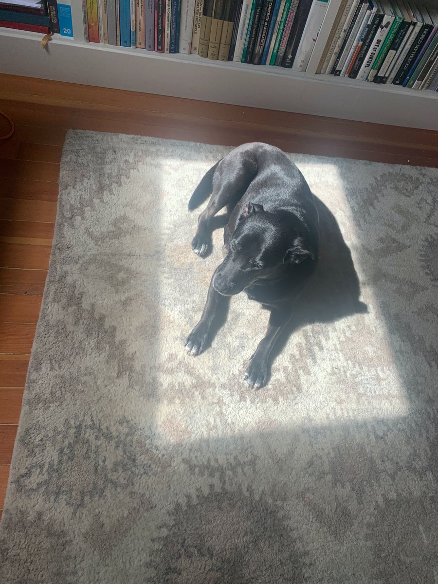 I still struggle with centering content in a div, but Zoe is a pro: