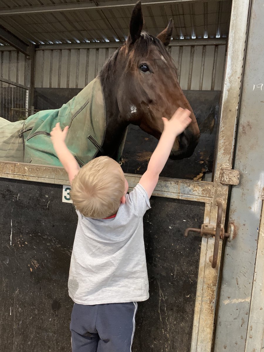 View image on Twitter