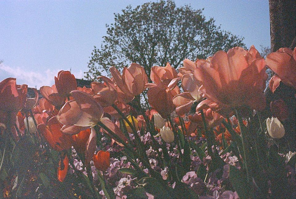 W0NUWU's tweet photo. 𝚆𝚒𝚝𝚑 𝚋𝚘𝚝𝚑 𝚑𝚊𝚗𝚍𝚜 𝚑𝚎𝚕𝚍 𝚝𝚒𝚐𝚑𝚝, 𝚝𝚑𝚎 𝚜𝚞𝚗𝚜𝚎𝚝 𝚐𝚕𝚘𝚠𝚜. 
                   σηℓу тнє ѕтαяѕ ιη тнιѕ ∂αяк ѕку ωιℓℓ ѕнιηє ∂σωη ση υѕ.

#CSD 
#CaratSelcaDay 
#SEVENTEEN 
#SEVENTEEN_5TH_ANNIVERSARY 

@pledis_17 Thanks Won for always being there for me. https://t.co/UOMlEMFxtm