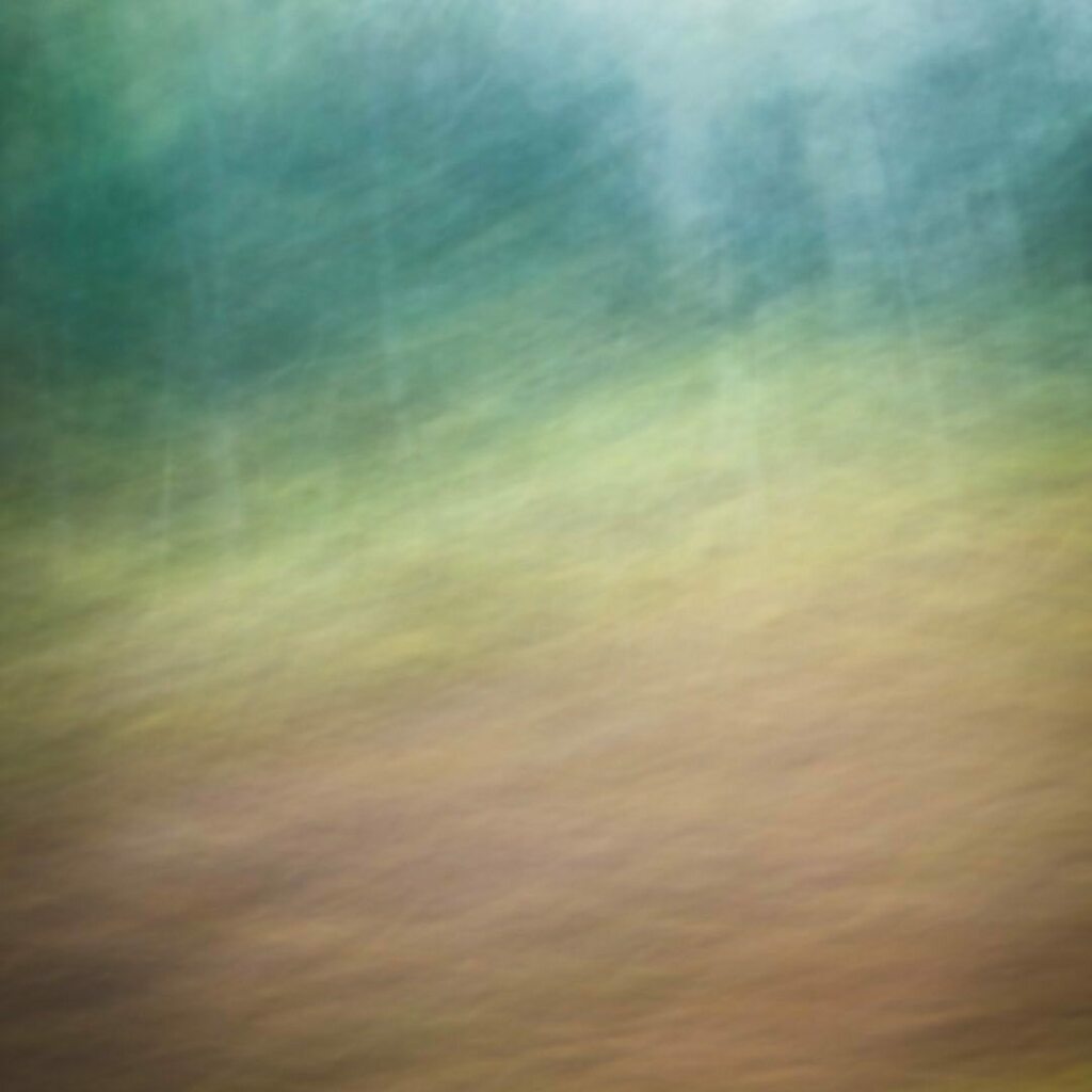 ElleBrucePhoto's tweet photo. FOUND BEAUTY...in passing. 
Drive by abstracts. Landscapes from the passenger seat when you need to make the ferry. .
.
.
.
. 
#trippingthroughthearchives #foundbeauty #foundbeautytoday #NikonCA #Nikon_Canada #opcmag #ExploreCanada #naturephoto #main_vis… https://t.co/WNi1L3DrNA https://t.co/Qi5dHCXzVI