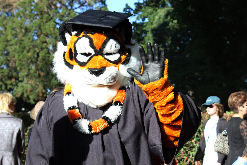 Let our virtual commencement begin! Post your screenshots with #soecs20 for a chance to be reposted. 📸🐅You can access the virtual ceremony here: pacific.edu/commencement-h…