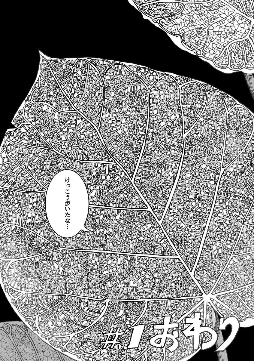 本棚迷宮を旅する(2/4)
#エアコミティア
#エアコミティア_SFファンタジー 