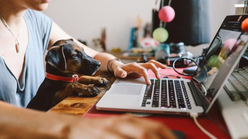 QUT's tweet photo. Read about the many ways #QUT academics are adapting to ensure students' #realworld #learning experiences continue online: https://t.co/0y6KPgAHcx #Study #StudyRemotely #StudyOnline #HigherEd https://t.co/0wEzKHQE5G