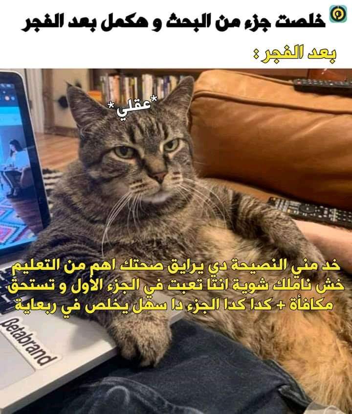 BeDo_TaRek10's tweet photo. 😂😂😂😂 https://t.co/gJVco1Rfni