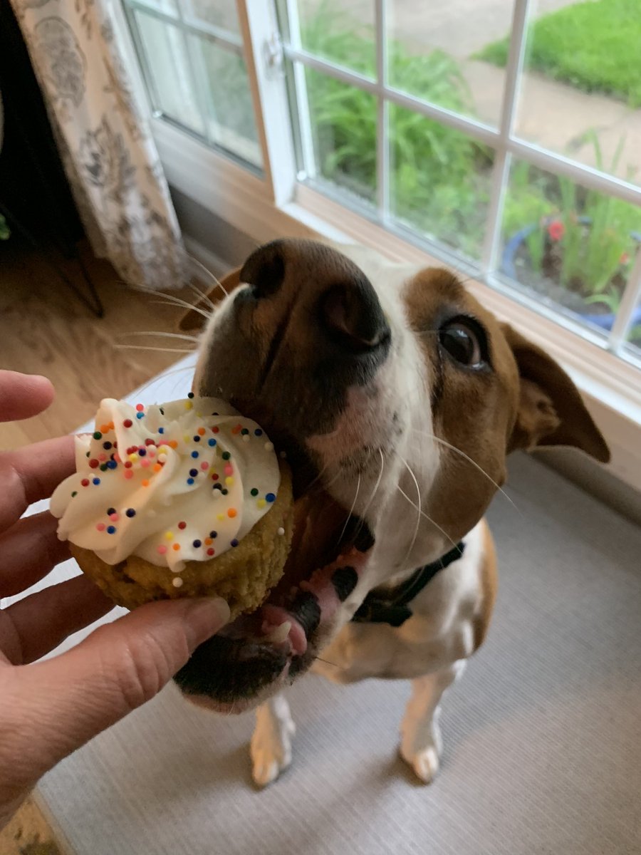 Shirkey, Crystal tweet media