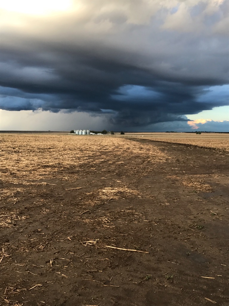 Phil High tweet media