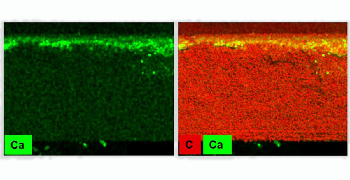 MVisualization's tweet image. EDX maps of Hydrogel-composite membrane fabricated using poly(2-acrylamido-2-methyl-1-propanesulfonic acid) (PAMPS)hydrogel showing the distribution of carbon and calcium across the crosssection of the composite membrane, Journal of Membrane Science by @JaehongKim_Yale group