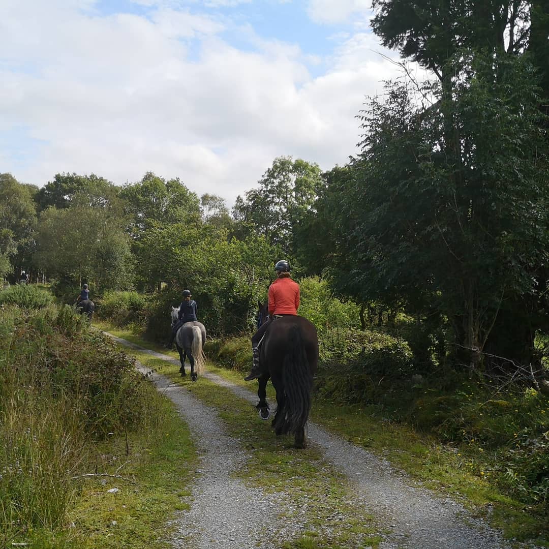 Back riding from 18th of May why not make a daytour with #organic picnic? slieveaughtycentre.com
