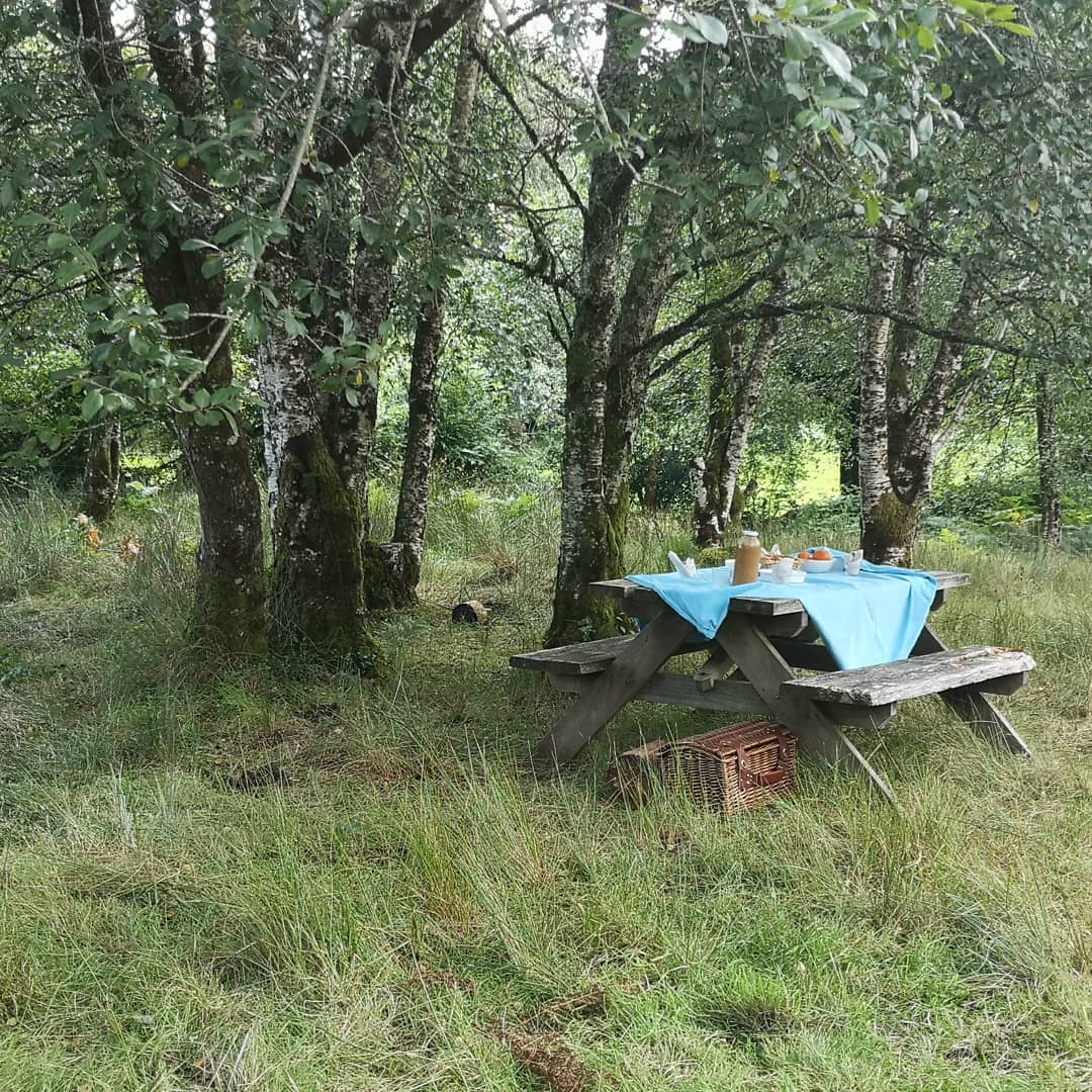 slieveaughty's tweet photo. Back riding from 18th of May why not make a daytour with #organic picnic? https://t.co/KoZGh9R8lP https://t.co/nlYaM7VyXd