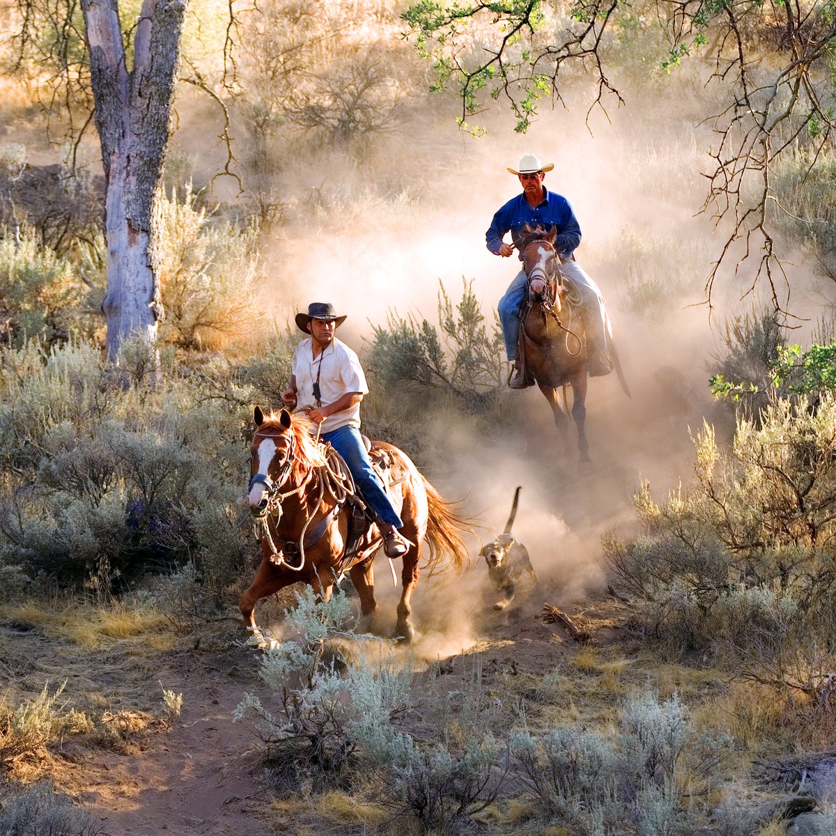 Domenico &amp; Richard on a ride.