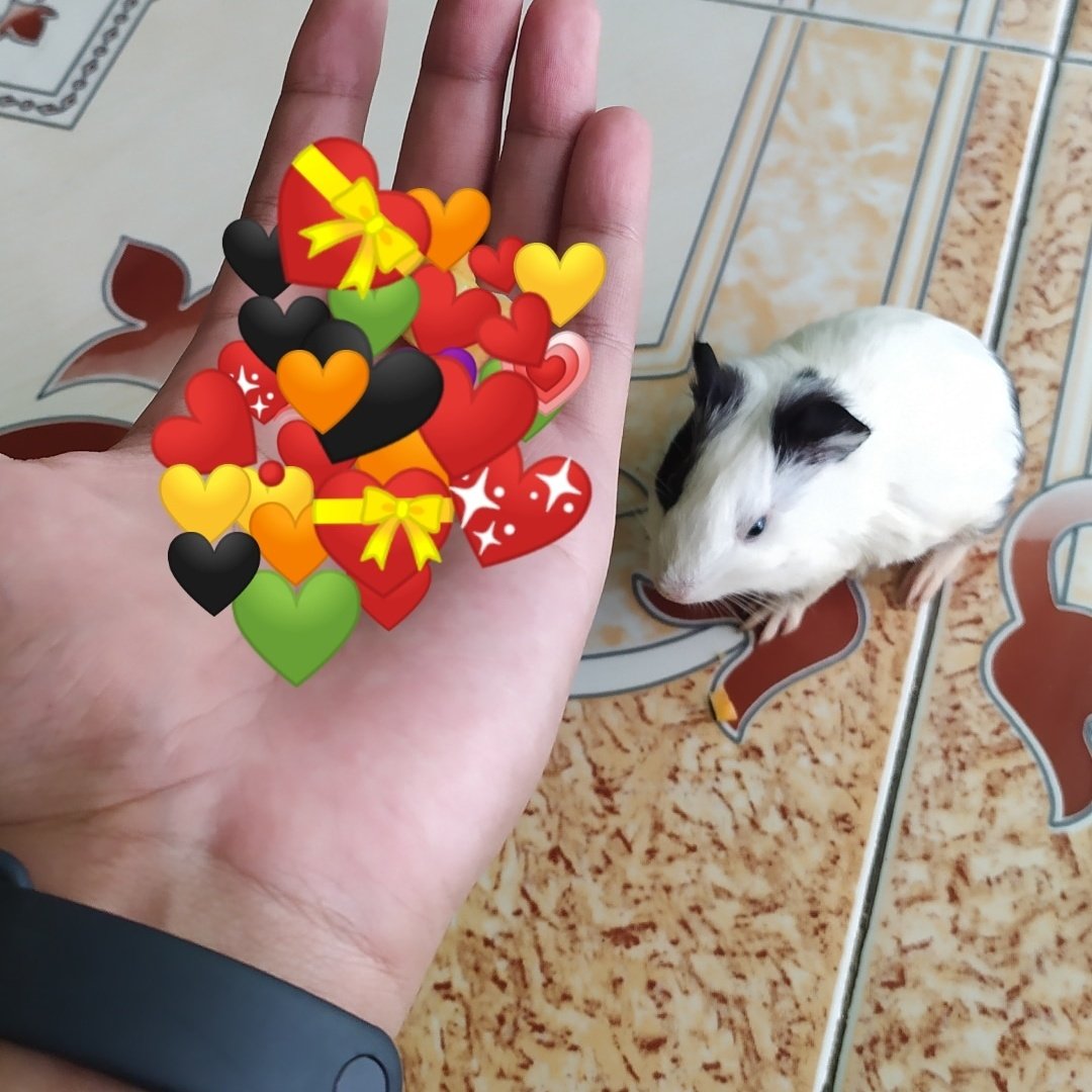 Galilei_'s tweet photo. Makan nih cinta https://t.co/XdX1gOFR1D