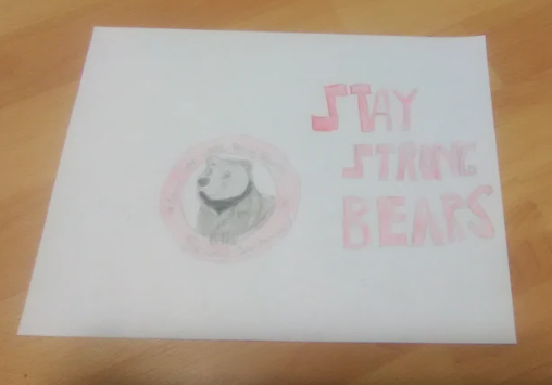 BSKBearsroom123's tweet photo. Another group of beary awesome intermediates showing their school spirit this week. #BSKBears https://t.co/6heHwPWhCV