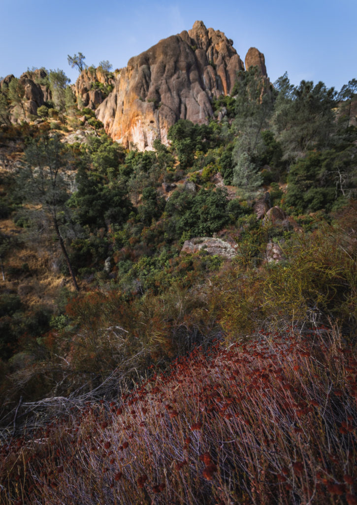 thebreakofdawns's tweet photo. Pinnacles National Park is one of the newest and smallest in the parks system with some epic hiking trails.

To see the best of the park, follow this trail route: https://t.co/o6bDD1PgMV

#pinnaclesnps #pinnaclesnationalpark #pinnaclesnp #nps #californiatravel #usanationalparks https://t.co/af0YuGnAVw