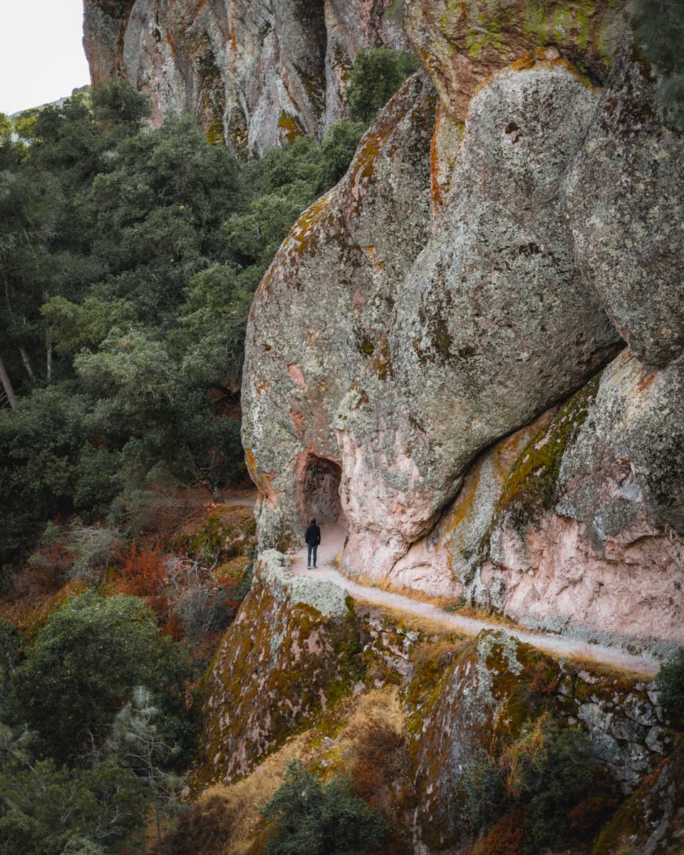 thebreakofdawns's tweet photo. Pinnacles National Park is one of the newest and smallest in the parks system with some epic hiking trails.

To see the best of the park, follow this trail route: https://t.co/o6bDD1PgMV

#pinnaclesnps #pinnaclesnationalpark #pinnaclesnp #nps #californiatravel #usanationalparks https://t.co/af0YuGnAVw