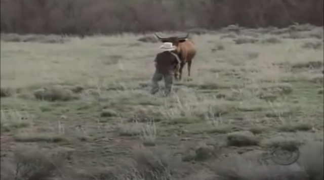 Colton just won a staredown with this cow.