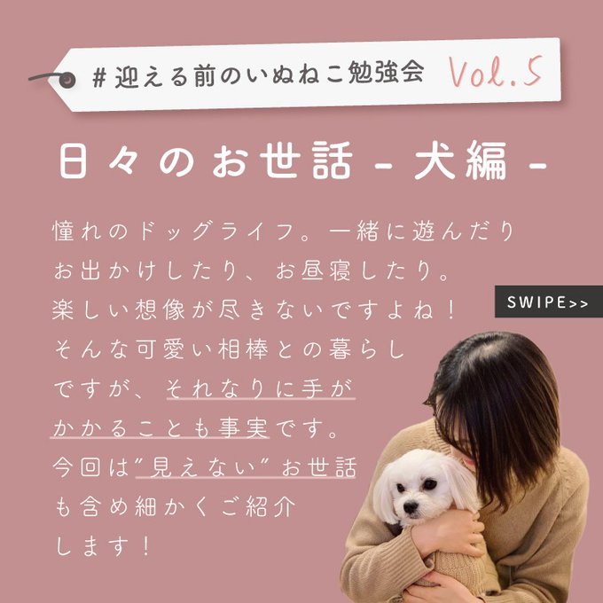 迎える前のいぬねこ勉強会のtwitterイラスト検索結果 迎える前のいぬねこ勉強会のtwitterイラスト検索結果