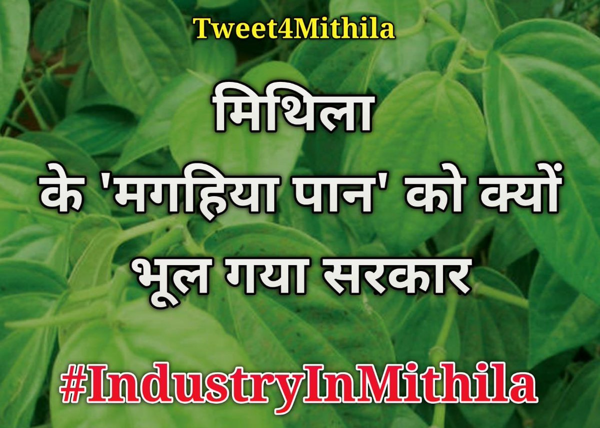 UmeshTarauni's tweet photo. #IndustryInMithila https://t.co/23uyRsN222